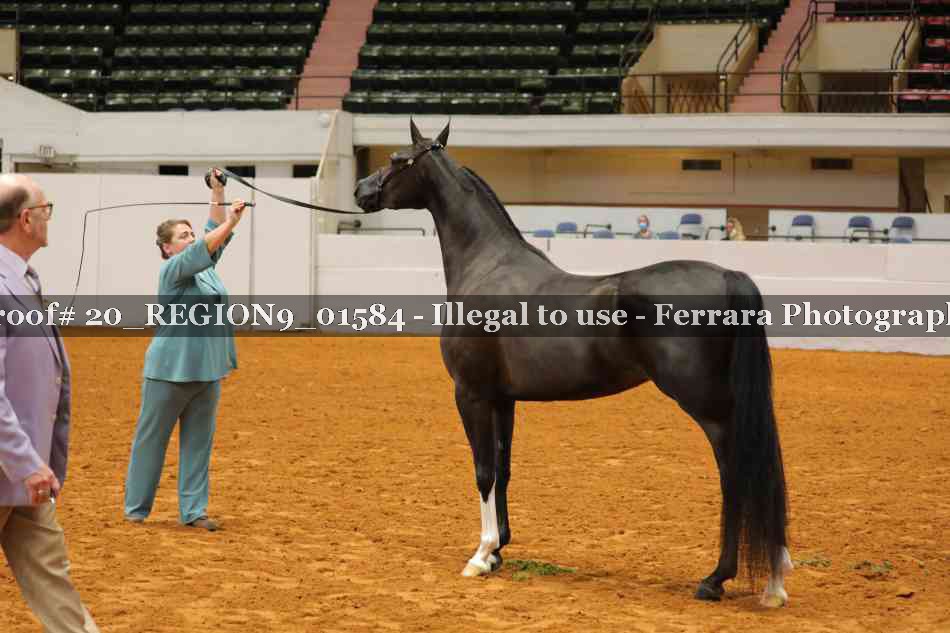 Proof 20_REGION9_01584