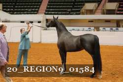 20_REGION9_01584 proof