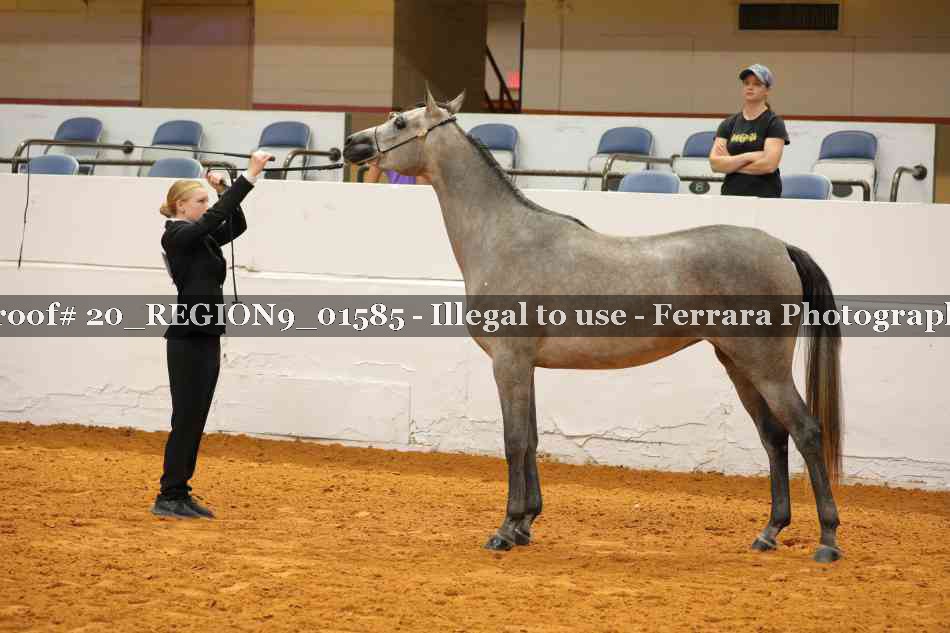 Proof 20_REGION9_01585