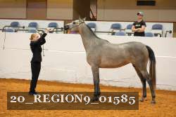 20_REGION9_01585 proof