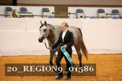 20_REGION9_01586 proof