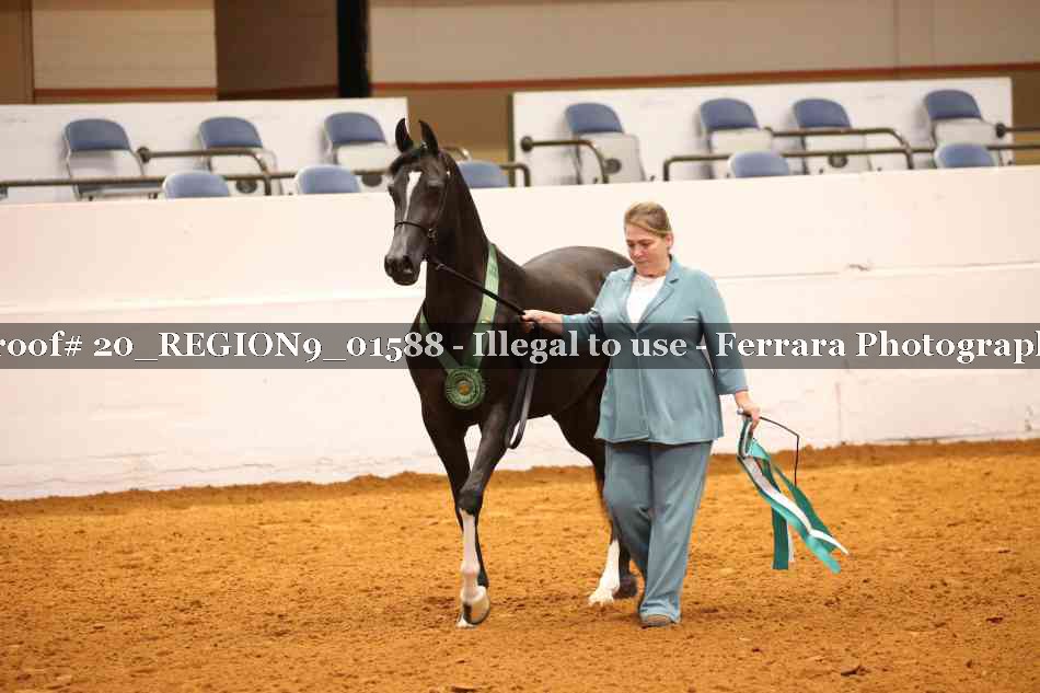 Proof 20_REGION9_01588