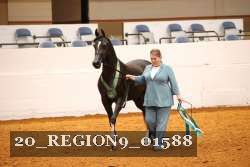 20_REGION9_01588 proof
