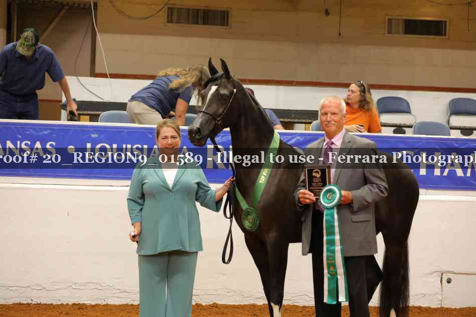 Proof 20_REGION9_01589