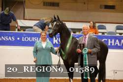 20_REGION9_01589 proof