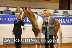 20_REGION9_01590 proof