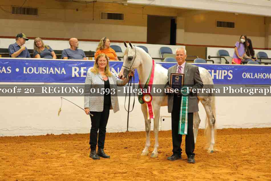 Proof 20_REGION9_01593