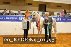 20_REGION9_01593 proof