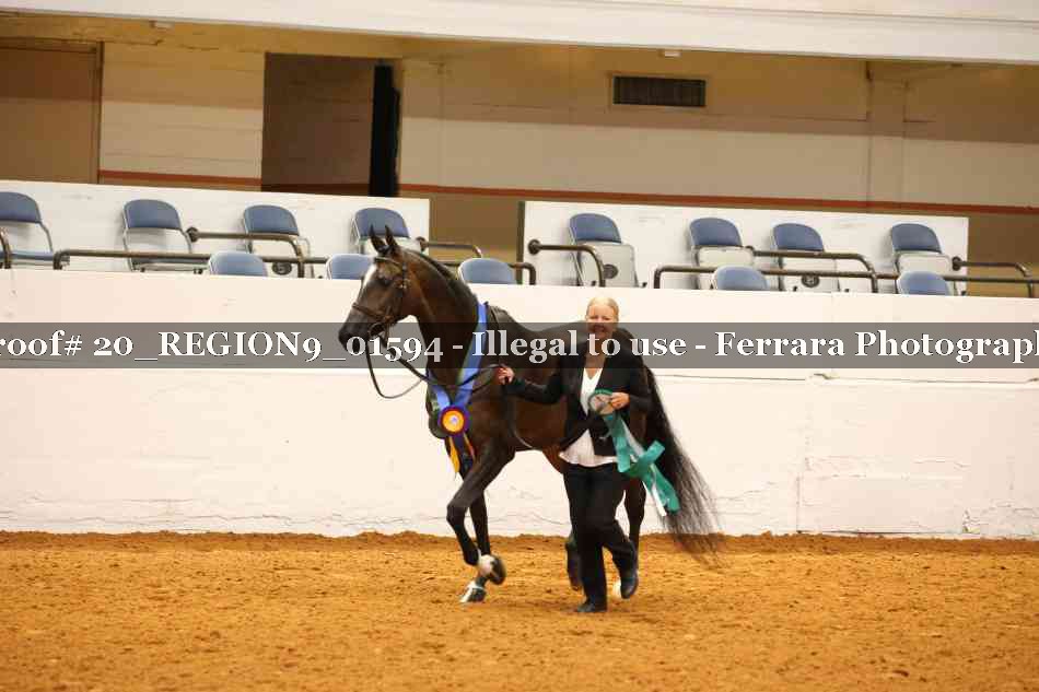 Proof 20_REGION9_01594