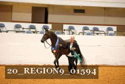 20_REGION9_01594 proof