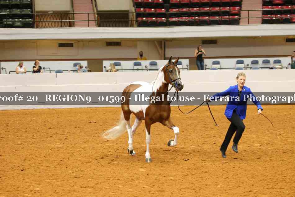 Proof 20_REGION9_01599