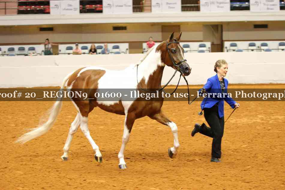 Proof 20_REGION9_01600