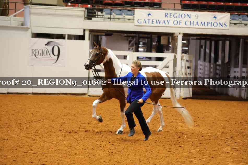 Proof 20_REGION9_01602