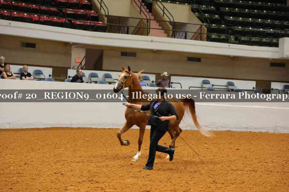 Proof 20_REGION9_01604