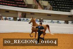 20_REGION9_01604 proof