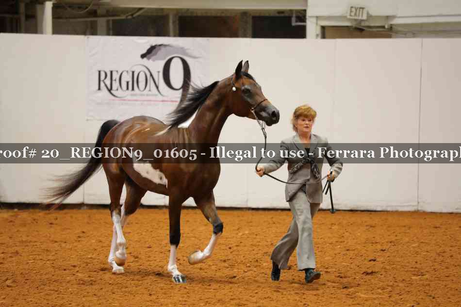 Proof 20_REGION9_01605