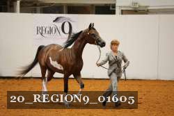 20_REGION9_01605 proof
