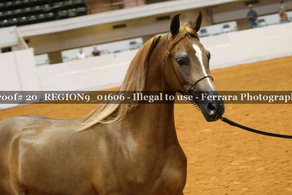 Proof 20_REGION9_01606
