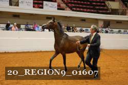 20_REGION9_01607 proof