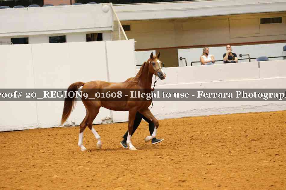 Proof 20_REGION9_01608