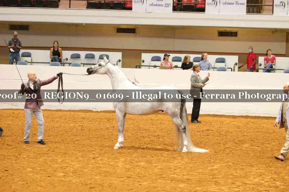 Proof 20_REGION9_01609