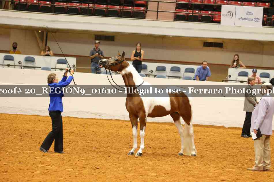 Proof 20_REGION9_01610