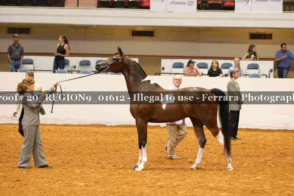 Proof 20_REGION9_01612