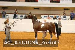 20_REGION9_01612 proof