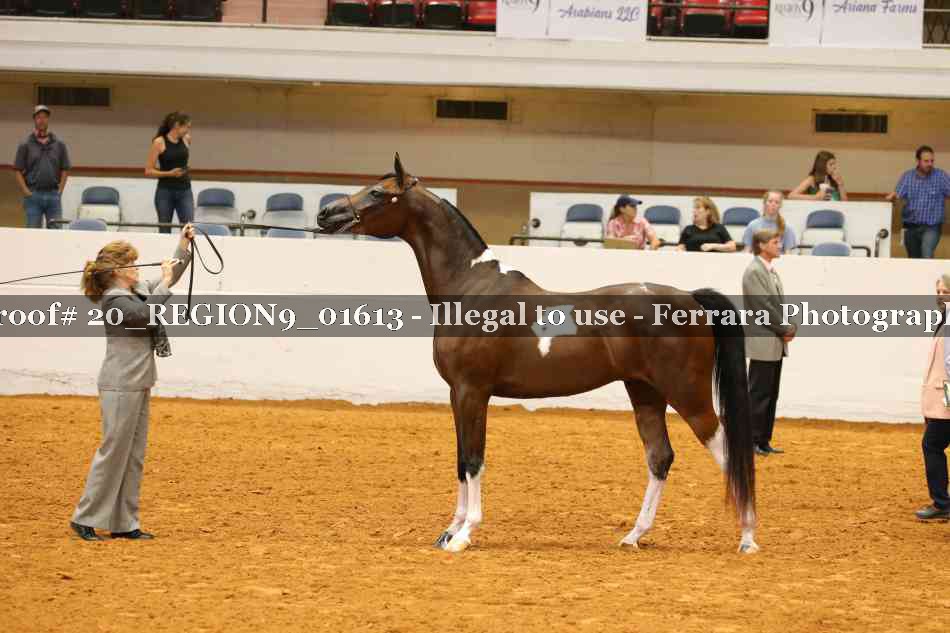 Proof 20_REGION9_01613