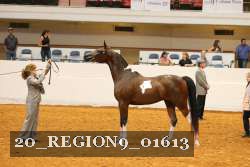 20_REGION9_01613 proof