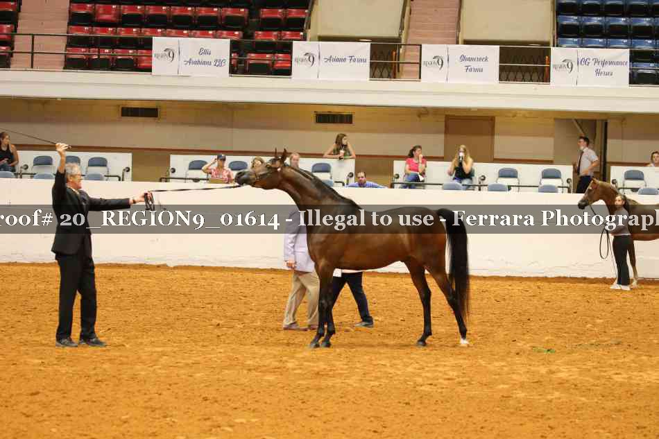 Proof 20_REGION9_01614