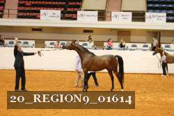 20_REGION9_01614 proof