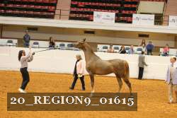 20_REGION9_01615 proof