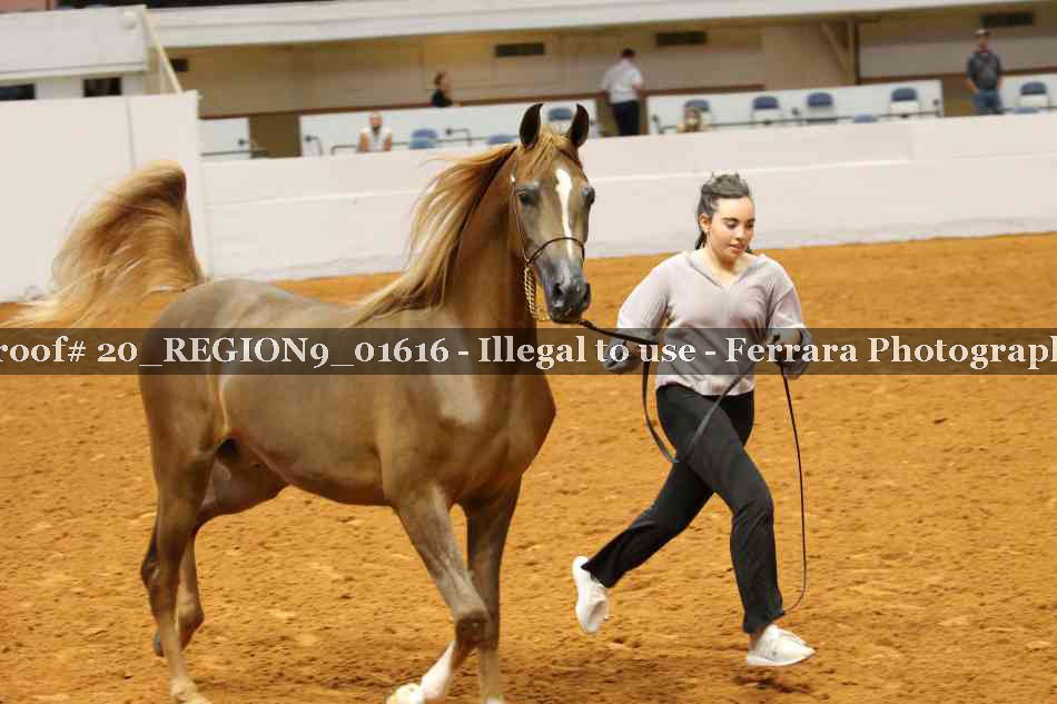 Proof 20_REGION9_01616