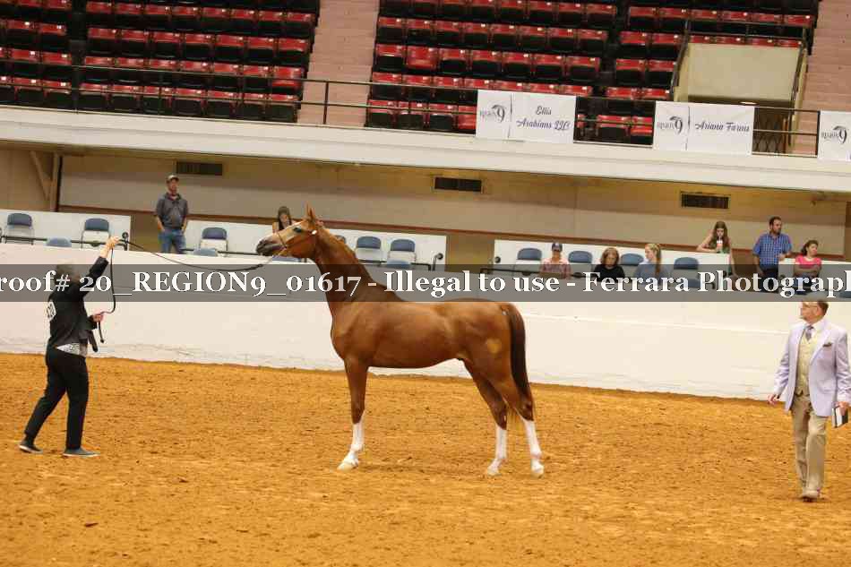 Proof 20_REGION9_01617