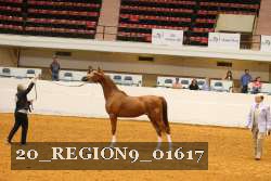 20_REGION9_01617 proof