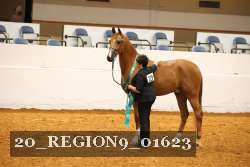 20_REGION9_01623 proof