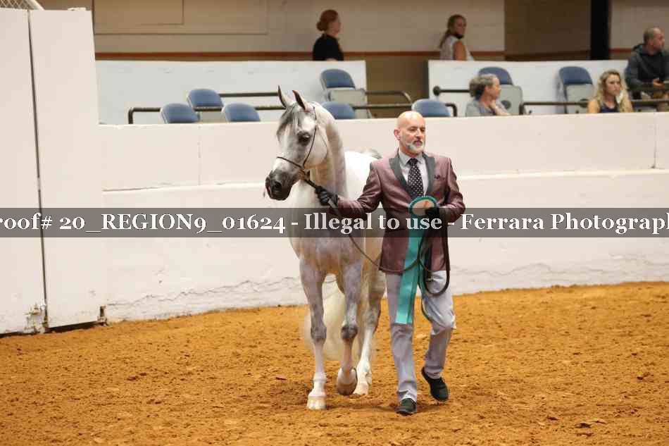 Proof 20_REGION9_01624