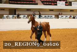 20_REGION9_01626 proof