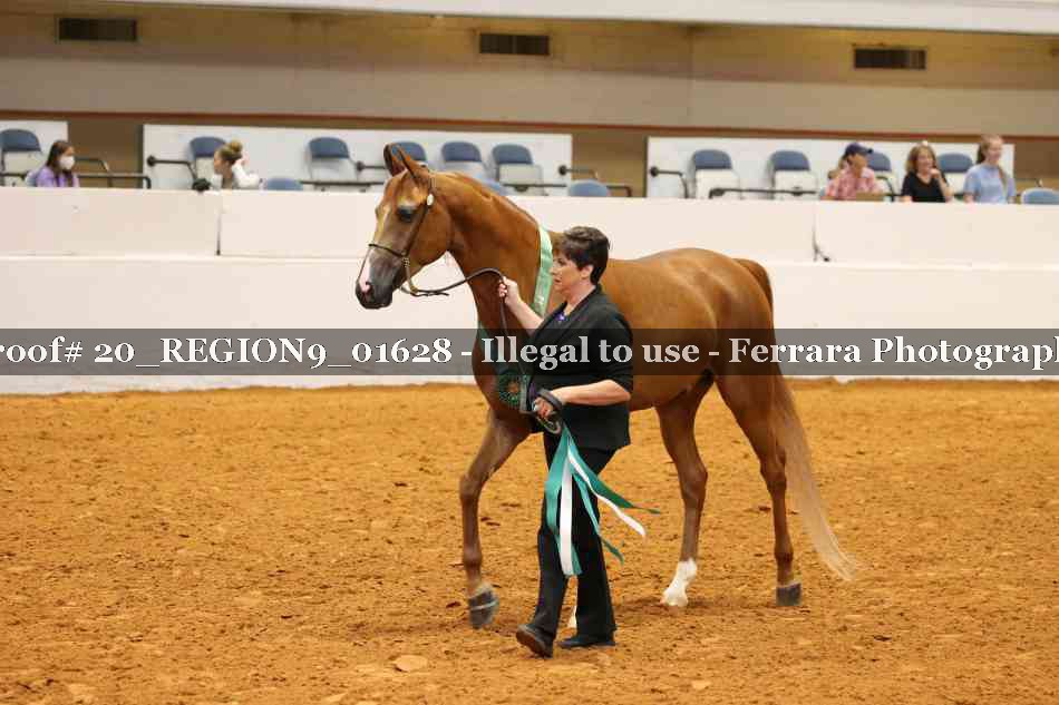 Proof 20_REGION9_01628