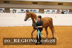 20_REGION9_01628 proof