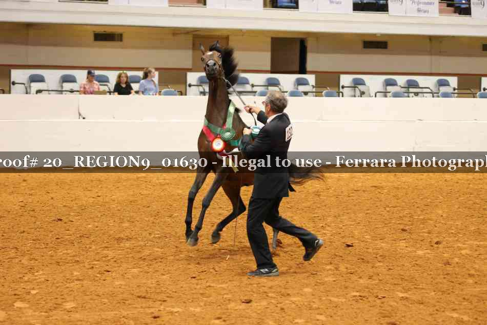 Proof 20_REGION9_01630