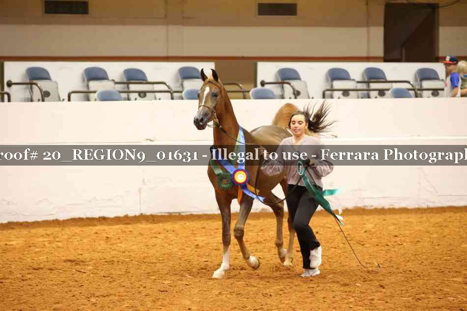 Proof 20_REGION9_01631