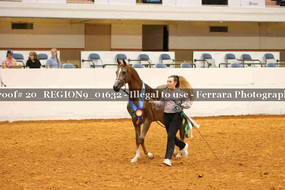 Proof 20_REGION9_01632