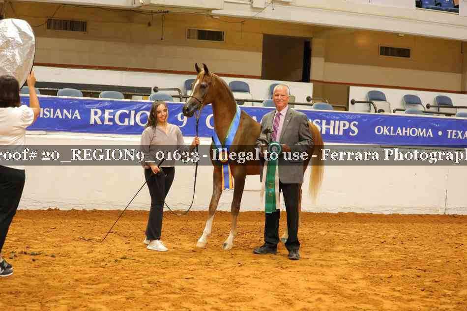 Proof 20_REGION9_01633