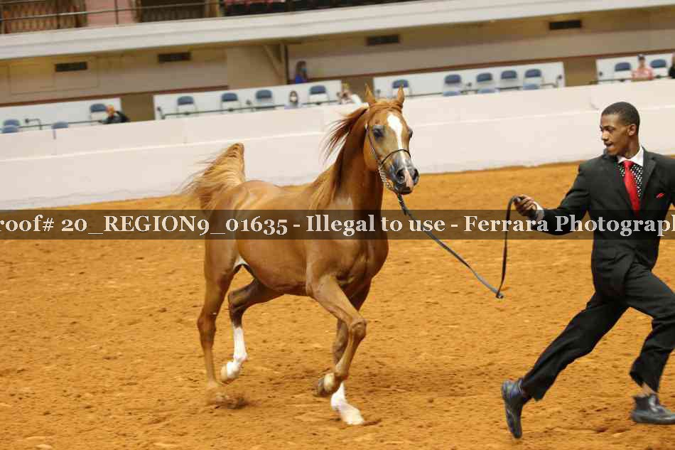 Proof 20_REGION9_01635