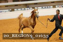 20_REGION9_01635 proof