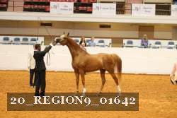 20_REGION9_01642 proof