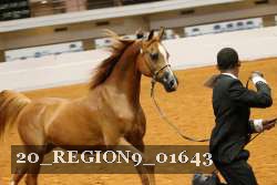20_REGION9_01643 proof