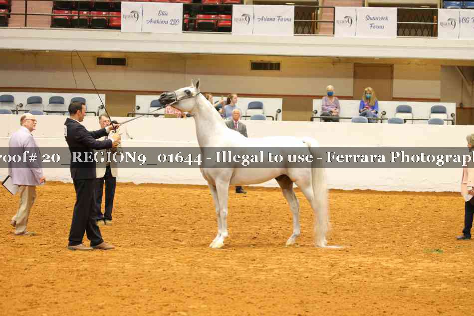 Proof 20_REGION9_01644
